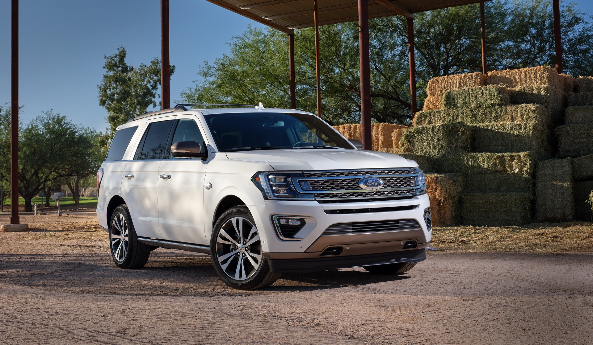 2018 - [Ford] Expedition 188d71f5-2020-ford-expedition-king-ranch-and-platinum-5